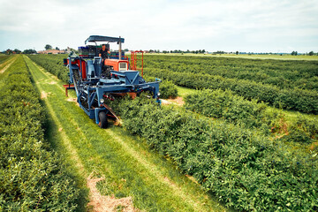 Modern machinery harvesting crops on vast farmland, demonstrating efficient farming