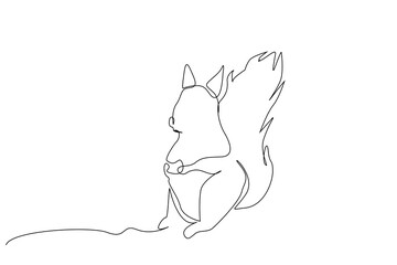 squirrel animal nature minimal one line art design vector