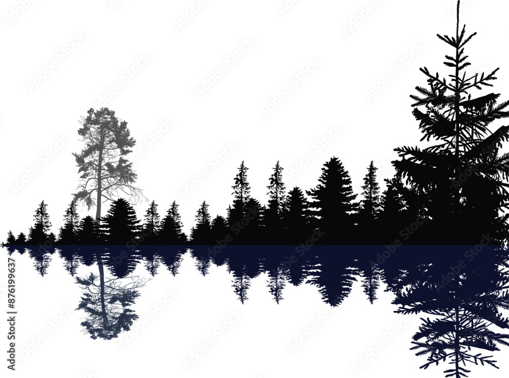 Wall mural pine trees in black fir forest with reflection
