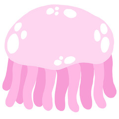 jellyfish