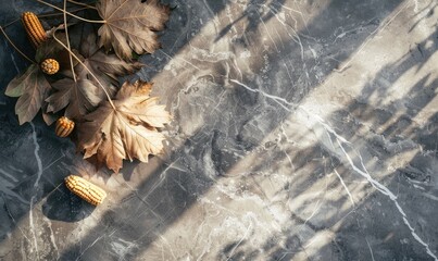 Top view of a grey marble countertop with autumn herbarium