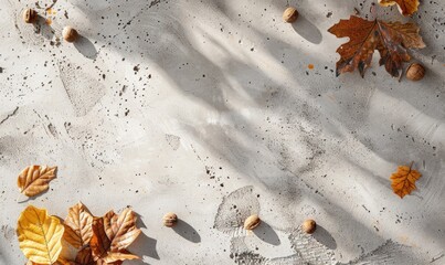 Top view of a light concrete countertop, frame of autumn leaves and nuts