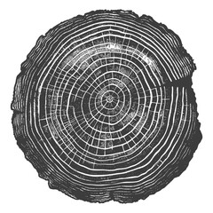 Fototapeta premium Detailed illustration of a cut tree trunk with growth rings