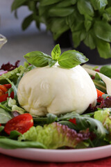 salad with burrata cheese on a plate