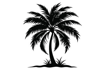 palm tree silhoutte white background.eps