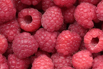 raspberry closeup