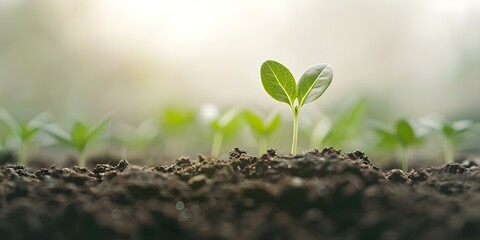Fototapeta premium Green Earth design with young plant for World Environment Day. Concept World Environment Day, Green Earth Design, Young Plant, Eco-Friendly Lifestyle, Sustainable Living