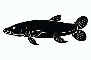 Arapaima fish vector hand drawing illustration.eps