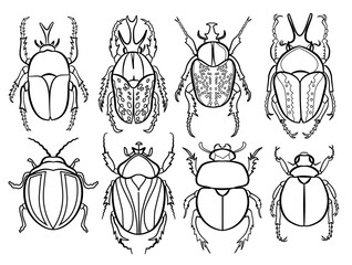 Black Outline Tropical Bug Icon Set Isolated on White