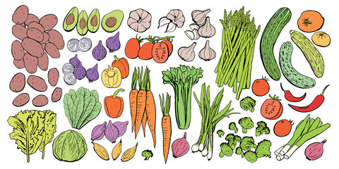 Vegetables Colored Icon Set. Vector Illustration Isolated on White Background
