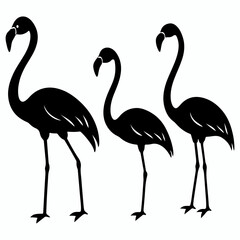 Set of Flamingo silhouette vector illustration, seamless pattern. Multiple flamingos in different poses vector art.