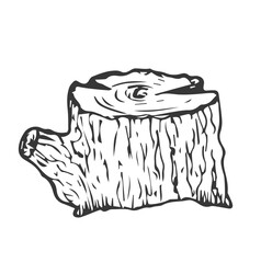 Wooden stump. Remaining tree with roots. Forest or garden plant. Hand drawn outline sketch. Isolated on white background. Vector.