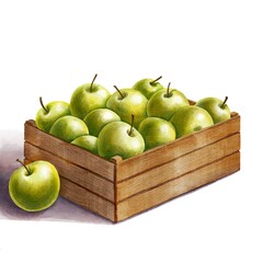 wooden box with ripe green apples drawing in watercolor at white background, fruits, hand drawn illustration
