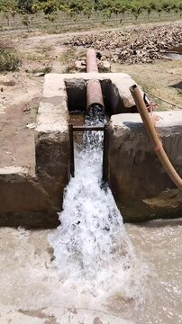 Irrigation tubewell water pump for agriculture irrigation in field, tube well delivering water to irrigate crops, electric farm-irrigation machinery  puits tube pozo de riego pipe bored video clip 
