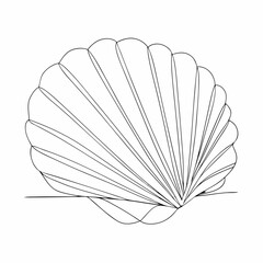 Continuous line drawing seashell sketch, (2)