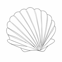 Continuous line drawing seashell sketch, (20)