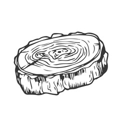 Tree Rings Set Saw Cut Trunk with Cracks and Black Lines Wooden Texture. Vector illustration