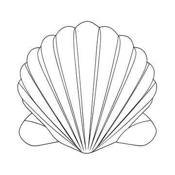 recommend clip art: Continuous line drawing seashell sketch, (32)