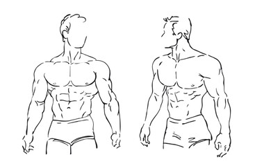 two male torsos athletic muscular men body fitness model line drawing  style vector illustration