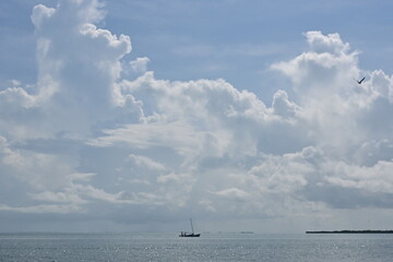 Fototapeta premium Caribbean sea under bule sky after tropical storm had passed