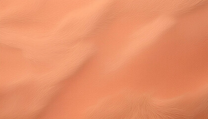 Minimalist solid peach fuzz color background