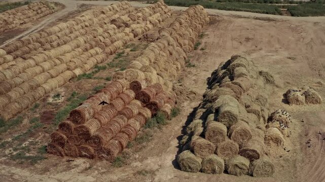 hay for livestock
