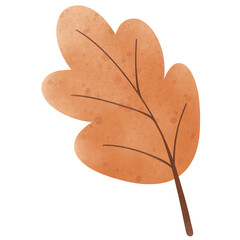 Autumn Leaves Illustration