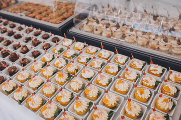 A lot of different mini appetizers on the table for a Banquet. Gourmet snacks for party, food catering service. Exotic snack dishes with natural ingredients. Beautifully decorated catering banquet 