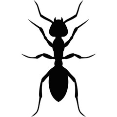 Ants line. Group of ant. Ant and insect silhouette. Ants community