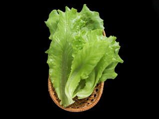 lettuce on a plate
