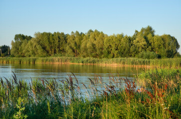 In the evening by the lake.