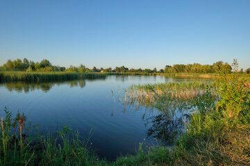 In the evening by the lake.
