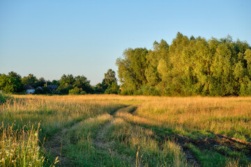 Obraz premium A winding field road in the village.