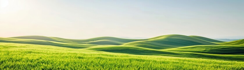 Fototapeta premium A serene green landscape with rolling hills and a clear blue sky, isolated on white background, ideal for nature-themed 
