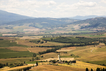 Toskański krajobraz w letni pogodny dzień © arekzet62