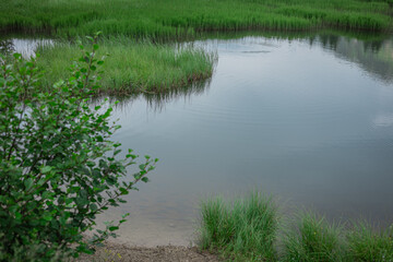 Beautiful pramollo lake on top of nassfeld pass, with visible green grass climbing out from the lake bed.