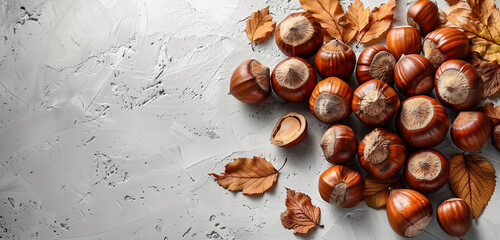 Autumn acorns on a light background.