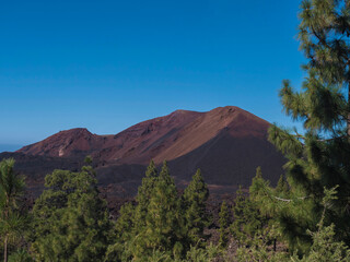View of black and red cone of Chinyero volcano. Volcanic landscape at Chinyero hiking trail loop. Lava ash, rocks, green endemic Canary island pines and clear blue sky. Tenerife, Spain. Vivid colors.