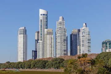 Fototapeta premium Buildings seen from the Costanera Sur ecological reserve in the city of Buenos Aires.