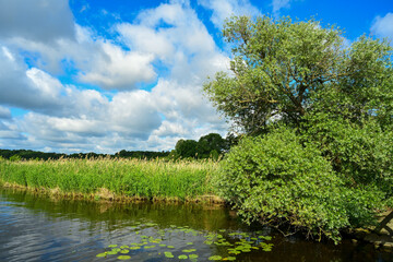 Fototapeta premium Seenlandschaft Schwielowsee Potsdam Mittelmark