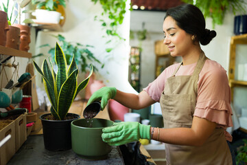 Young latin woman happily repotting a snake plant in a bright plant shop, surrounded by tools and potting soil, reflecting her passion for gardening and growing her small business