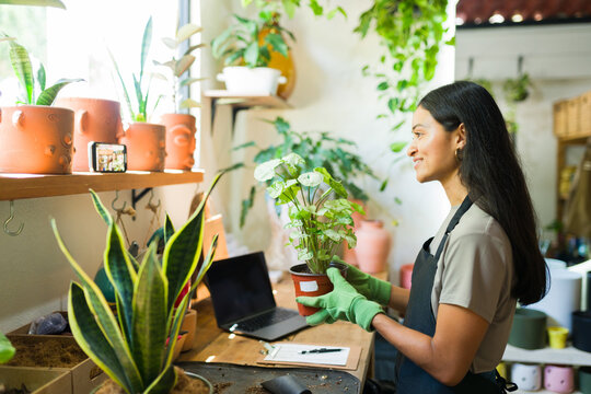 Female plant shop owner in gloves smiling while filming a vlog about plants with her smartphone and holding a potted plant