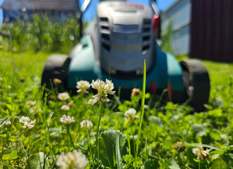 Close Up of White Clover Flowers in Front of Lawn Mower