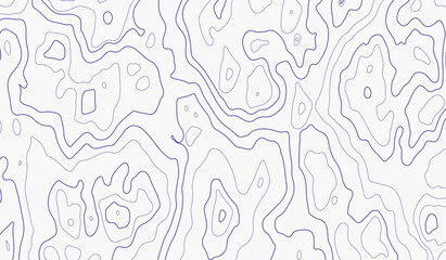 Topographic map background geographic line map with elevation assignments.