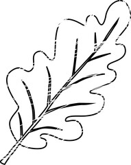 Oak tree leaf autumn decoration.