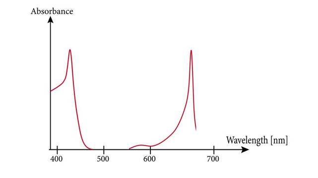 Video showing the Absorbance spectra of free chlorophyll a and b in a solvent.