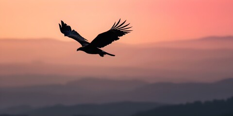 Naklejka premium Eagle silhouette majestically soaring in the dusk sky. Concept Nature, Wildlife, Silhouette, Majestic, Dusk Sky