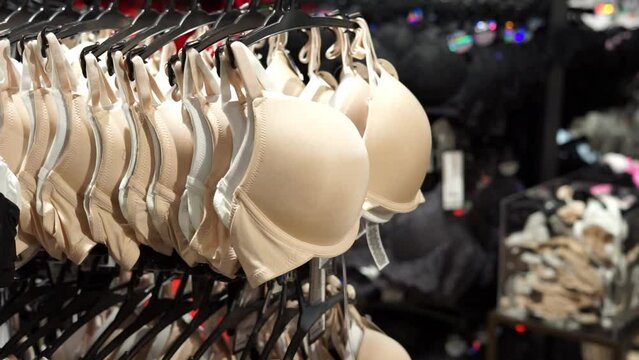 bra for girls and women in the store