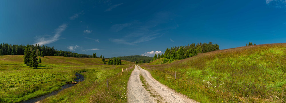 Rolava river with grass on bank in summer hot morning between green meadows