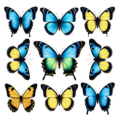 Obraz premium PNG set of beautiful blue green yellow butterflies isolated on white or transparent PNG